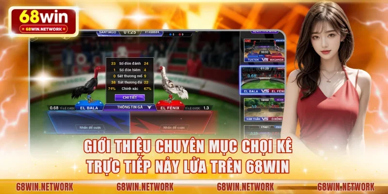 Giới thiệu chuyên mục chọi kê trực tiếp nảy lửa trên 68WIN