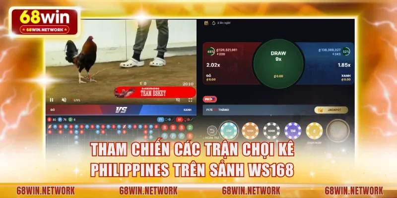 Tham chiến các trận chọi kê Philippines trên sảnh WS168 