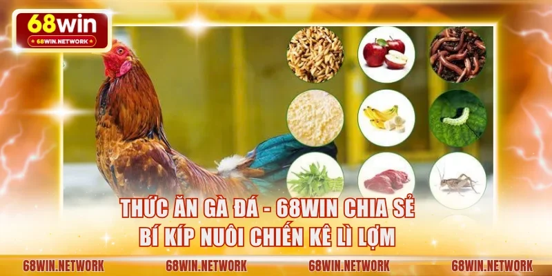 Thức ăn gà đá